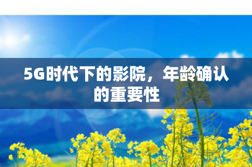 5G时代下的影院,年龄确认的重要性 5G时代下的影院,年龄确认的重要性