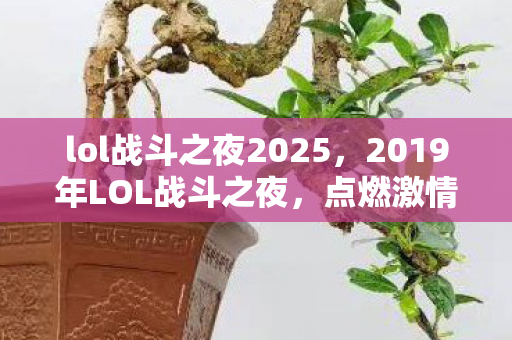 lol战斗之夜2025，2019年LOL战斗之夜，点燃激情，共赴荣耀