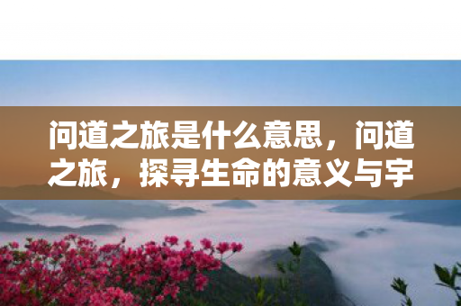 问道之旅是什么意思,问道之旅,探寻生命的意义与宇宙的奥秘 问道之旅是什么意思,问道之旅,探寻生命的意义与宇宙的奥秘