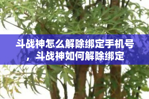 斗战神怎么解除绑定手机号,斗战神如何解除绑定 斗战神怎么解除绑定手机号,斗战神如何解除绑定