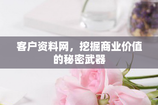 客户资料网,挖掘商业价值的秘密武器 客户资料网,挖掘商业价值的秘密武器