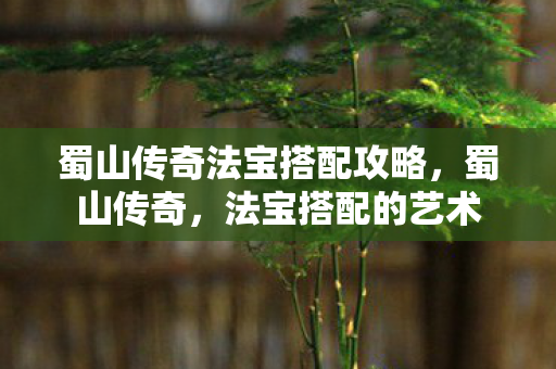 蜀山传奇法宝搭配攻略,蜀山传奇,法宝搭配的艺术 蜀山传奇法宝搭配攻略,蜀山传奇,法宝搭配的艺术