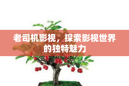 老司机影视,探索影视世界的独特魅力 老司机影视,探索影视世界的独特魅力