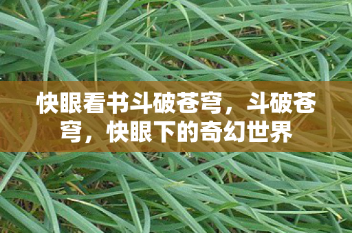 快眼看书斗破苍穹,斗破苍穹,快眼下的奇幻世界 快眼看书斗破苍穹,斗破苍穹,快眼下的奇幻世界