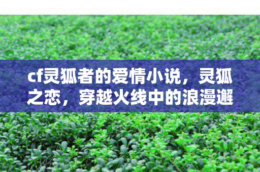 cf灵狐者的爱情小说,灵狐之恋,穿越火线中的浪漫邂逅 cf灵狐者的爱情小说,灵狐之恋,穿越火线中的浪漫邂逅