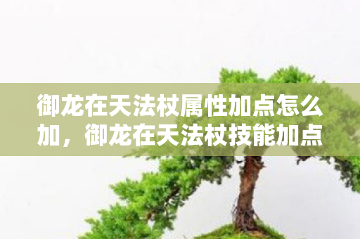 御龙在天法杖属性加点怎么加,御龙在天法杖技能加点图详解 御龙在天法杖属性加点怎么加,御龙在天法杖技能加点图详解