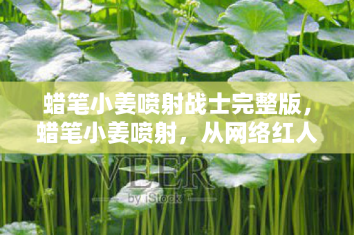 蜡笔小姜喷射战士完整版,蜡笔小姜喷射,从网络红人到内容创作者的蜕变 蜡笔小姜喷射战士完整版,蜡笔小姜喷射,从网络红人到内容创作者的蜕变