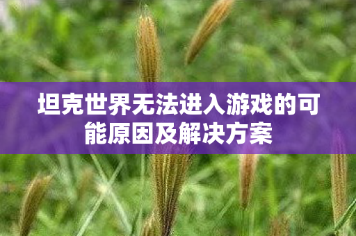 坦克世界无法进入游戏的可能原因及解决方案 坦克世界无法进入游戏的可能原因及解决方案