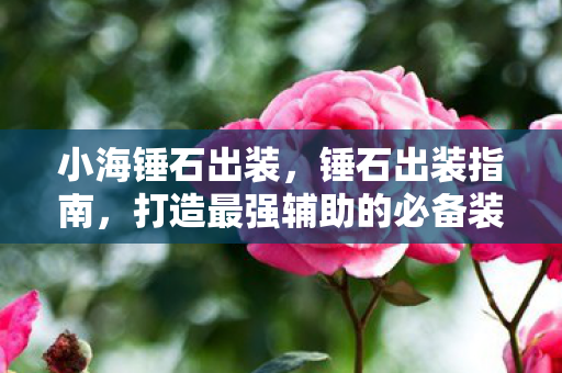 小海锤石出装,锤石出装指南,打造最强辅助的必备装备 小海锤石出装,锤石出装指南,打造最强辅助的必备装备
