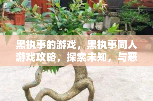 黑执事的游戏,黑执事同人游戏攻略,探索未知,与恶魔共舞 黑执事的游戏,黑执事同人游戏攻略,探索未知,与恶魔共舞