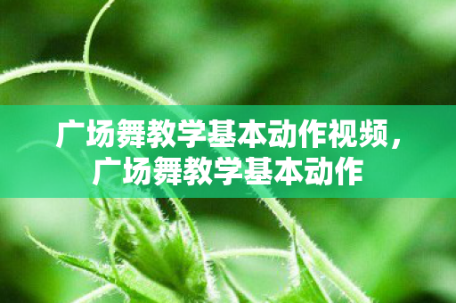 广场舞教学基本动作视频，广场舞教学基本动作