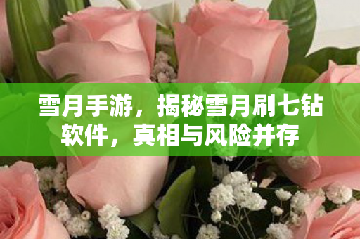 雪月手游,揭秘雪月刷七钻软件,真相与风险并存 雪月手游,揭秘雪月刷七钻软件,真相与风险并存