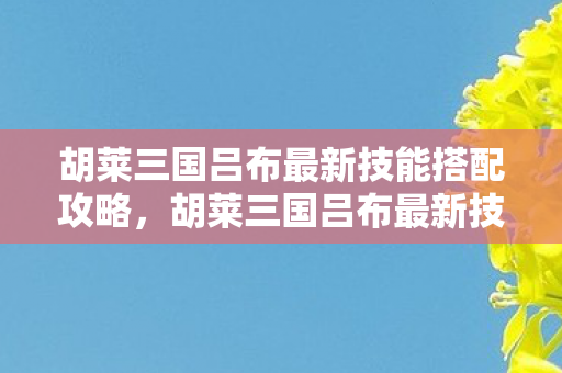 胡莱三国吕布最新技能搭配攻略,胡莱三国吕布最新技能搭配攻略 胡莱三国吕布最新技能搭配攻略,胡莱三国吕布最新技能搭配攻略
