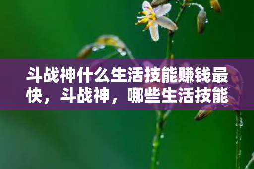 斗战神什么生活技能赚钱最快,斗战神,哪些生活技能最赚钱? 斗战神什么生活技能赚钱最快,斗战神,哪些生活技能最赚钱?