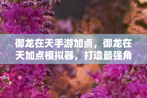 御龙在天手游加点,御龙在天加点模拟器,打造最强角色的秘密武器 御龙在天手游加点,御龙在天加点模拟器,打造最强角色的秘密武器
