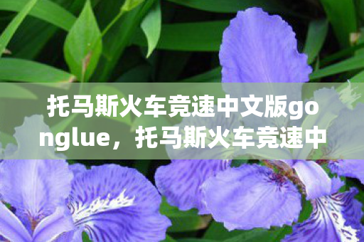 托马斯火车竞速中文版gonglue,托马斯火车竞速中文版,一场别开生面的火车竞速盛宴 托马斯火车竞速中文版gonglue,托马斯火车竞速中文版,一场别开生面的火车竞速盛宴