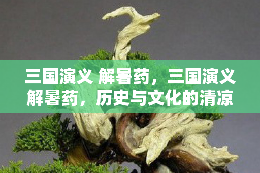 三国演义 解暑药，三国演义解暑药，历史与文化的清凉交汇
