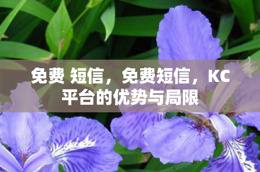 免费 短信,免费短信,KC平台的优势与局限 免费 短信,免费短信,KC平台的优势与局限