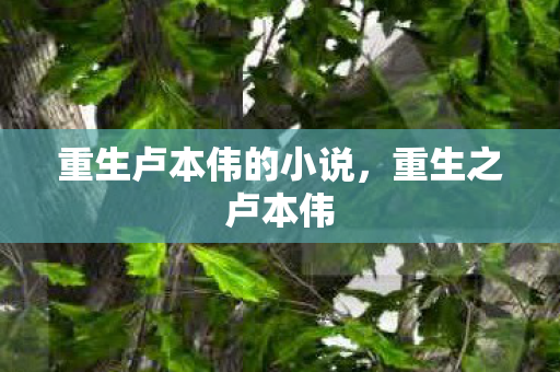 重生卢本伟的小说,重生之卢本伟 重生卢本伟的小说,重生之卢本伟