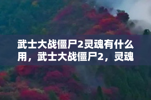 武士大战僵尸2灵魂有什么用,武士大战僵尸2,灵魂之战的觉醒 武士大战僵尸2灵魂有什么用,武士大战僵尸2,灵魂之战的觉醒