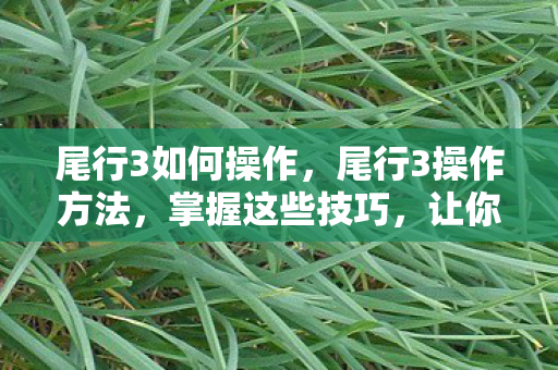 尾行3如何操作,尾行3操作方法,掌握这些技巧,让你轻松成为尾行高手 尾行3如何操作,尾行3操作方法,掌握这些技巧,让你轻松成为尾行高手