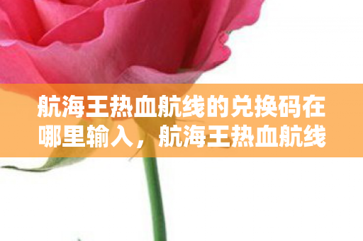 航海王热血航线的兑换码在哪里输入,航海王热血航线兑换码输入指南 航海王热血航线的兑换码在哪里输入,航海王热血航线兑换码输入指南