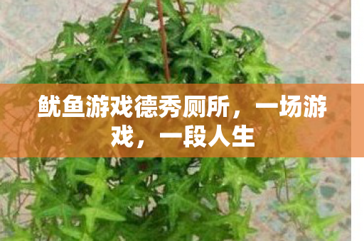 鱿鱼游戏德秀厕所,一场游戏,一段人生 鱿鱼游戏德秀厕所,一场游戏,一段人生