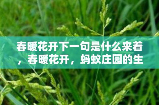 春暖花开下一句是什么来着,春暖花开,蚂蚁庄园的生机与希望 春暖花开下一句是什么来着,春暖花开,蚂蚁庄园的生机与希望