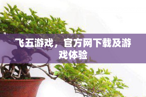 飞五游戏,官方网下载及游戏体验 飞五游戏,官方网下载及游戏体验