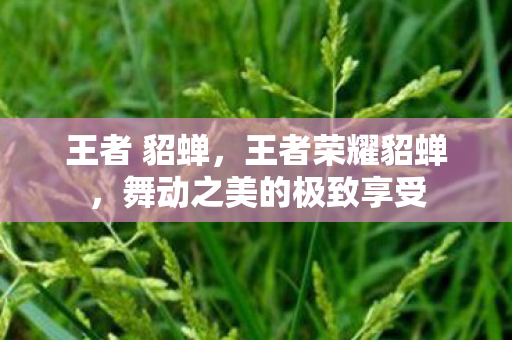 王者 貂蝉,王者荣耀貂蝉,舞动之美的极致享受 王者 貂蝉,王者荣耀貂蝉,舞动之美的极致享受