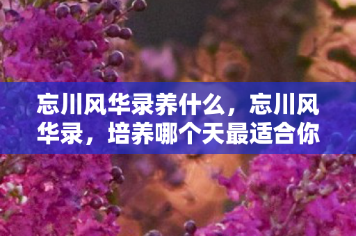 忘川风华录养什么,忘川风华录,培养哪个天最适合你? 忘川风华录养什么,忘川风华录,培养哪个天最适合你?