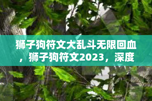 狮子狗符文大乱斗无限回血,狮子狗符文2023,深度解析与实战应用 狮子狗符文大乱斗无限回血,狮子狗符文2023,深度解析与实战应用