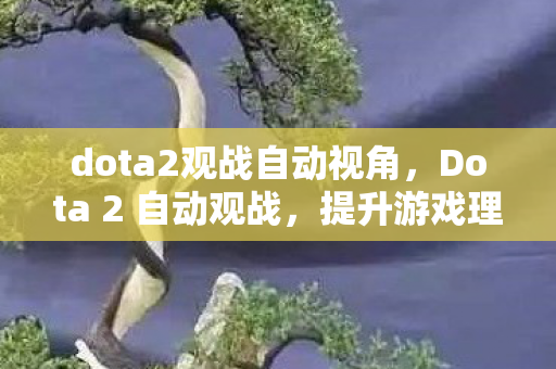 dota2观战自动视角,Dota 2 自动观战,提升游戏理解的新途径 dota2观战自动视角,Dota 2 自动观战,提升游戏理解的新途径
