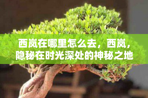 西岚在哪里怎么去,西岚,隐秘在时光深处的神秘之地 西岚在哪里怎么去,西岚,隐秘在时光深处的神秘之地