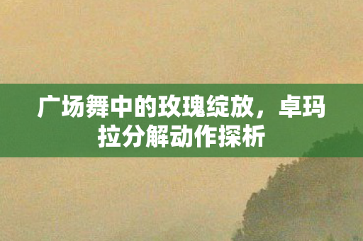 广场舞中的玫瑰绽放,卓玛拉分解动作探析 广场舞中的玫瑰绽放,卓玛拉分解动作探析