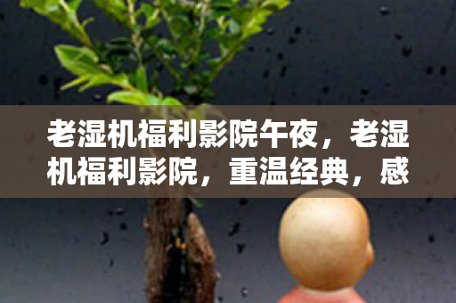 老湿机福利影院午夜,老湿机福利影院,重温经典,感受电影艺术的魅力 老湿机福利影院午夜,老湿机福利影院,重温经典,感受电影艺术的魅力