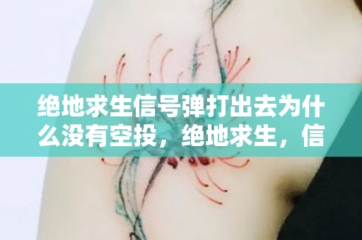 绝地求生信号弹打出去为什么没有空投,绝地求生,信号弹的神秘与魅力 绝地求生信号弹打出去为什么没有空投,绝地求生,信号弹的神秘与魅力
