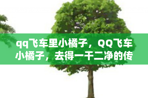 qq飞车里小橘子,QQ飞车小橘子,去得一干二净的传奇 qq飞车里小橘子,QQ飞车小橘子,去得一干二净的传奇