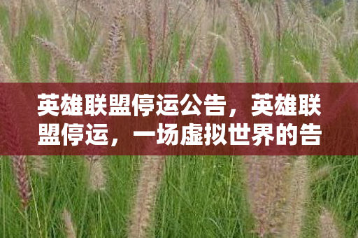 英雄联盟停运公告,英雄联盟停运,一场虚拟世界的告别 英雄联盟停运公告,英雄联盟停运,一场虚拟世界的告别