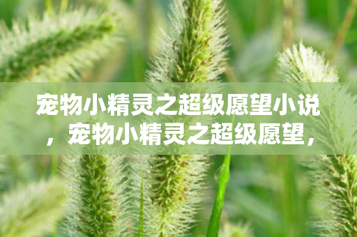 宠物小精灵之超级愿望小说，宠物小精灵之超级愿望，探索未知，挑战自我