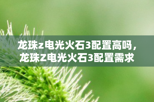龙珠z电光火石3配置高吗，龙珠Z电光火石3配置需求详解