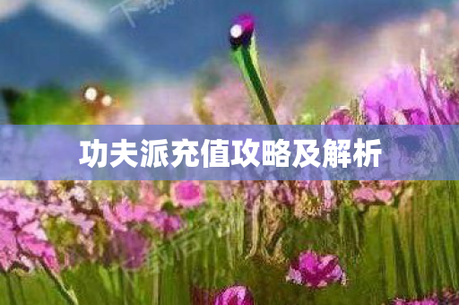 功夫派充值攻略及解析 功夫派充值攻略及解析