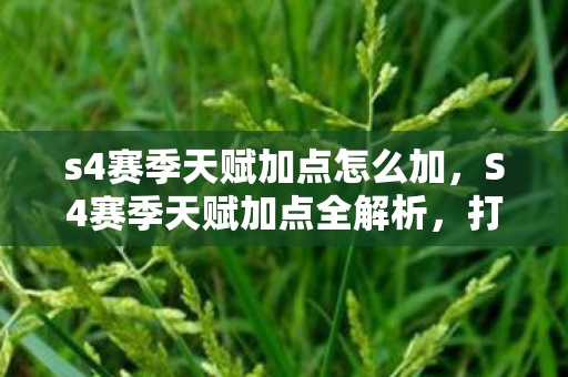 s4赛季天赋加点怎么加,S4赛季天赋加点全解析,打造你的专属英雄之路 s4赛季天赋加点怎么加,S4赛季天赋加点全解析,打造你的专属英雄之路