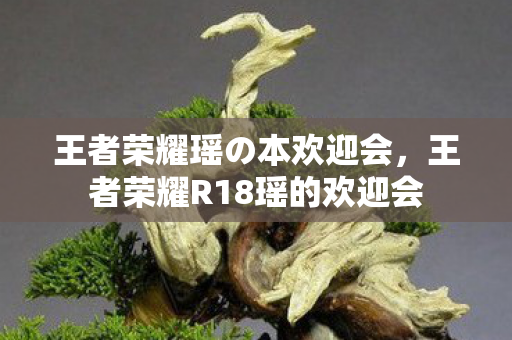 王者荣耀瑶の本欢迎会，王者荣耀R18瑶的欢迎会