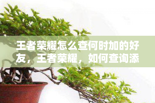 王者荣耀怎么查何时加的好友，王者荣耀，如何查询添加好友的具体日期？