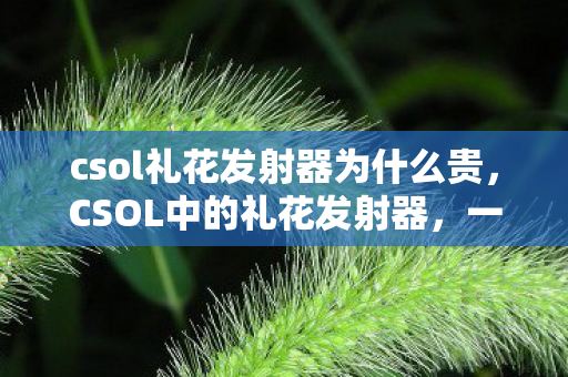csol礼花发射器为什么贵,CSOL中的礼花发射器,一场虚拟世界的庆典 csol礼花发射器为什么贵,CSOL中的礼花发射器,一场虚拟世界的庆典