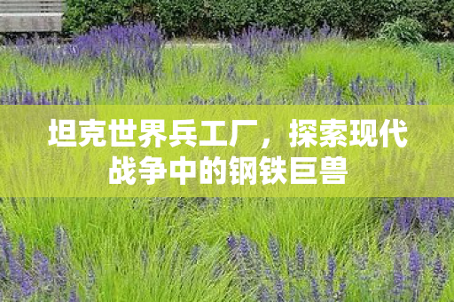 坦克世界兵工厂,探索现代战争中的钢铁巨兽 坦克世界兵工厂,探索现代战争中的钢铁巨兽