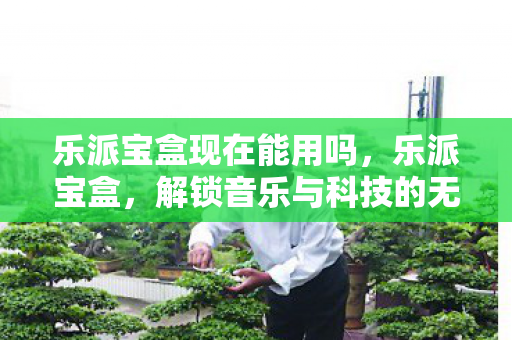 乐派宝盒现在能用吗,乐派宝盒,解锁音乐与科技的无限可能 乐派宝盒现在能用吗,乐派宝盒,解锁音乐与科技的无限可能