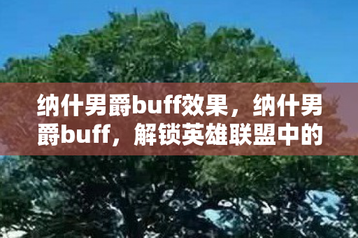 纳什男爵buff效果,纳什男爵buff,解锁英雄联盟中的隐藏力量 纳什男爵buff效果,纳什男爵buff,解锁英雄联盟中的隐藏力量