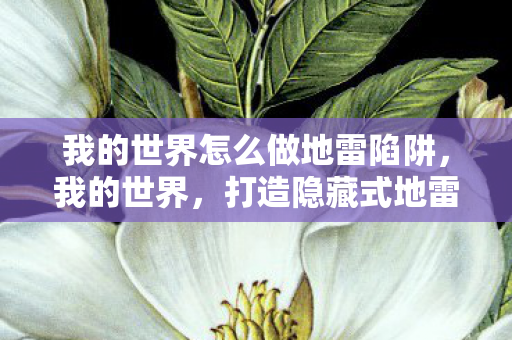 我的世界怎么做地雷陷阱,我的世界,打造隐藏式地雷的创意指南 我的世界怎么做地雷陷阱,我的世界,打造隐藏式地雷的创意指南